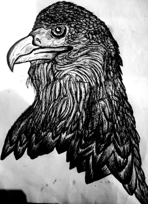 Artwork preview image