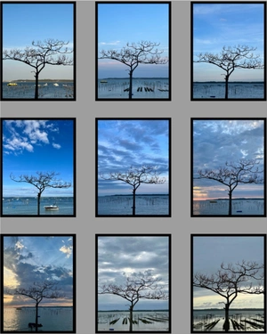 Artwork image