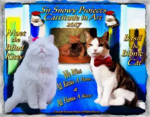 Artwork preview image