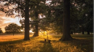 Artwork preview image