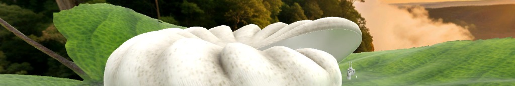 Cover image of Aika