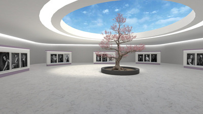 3D Gallery image