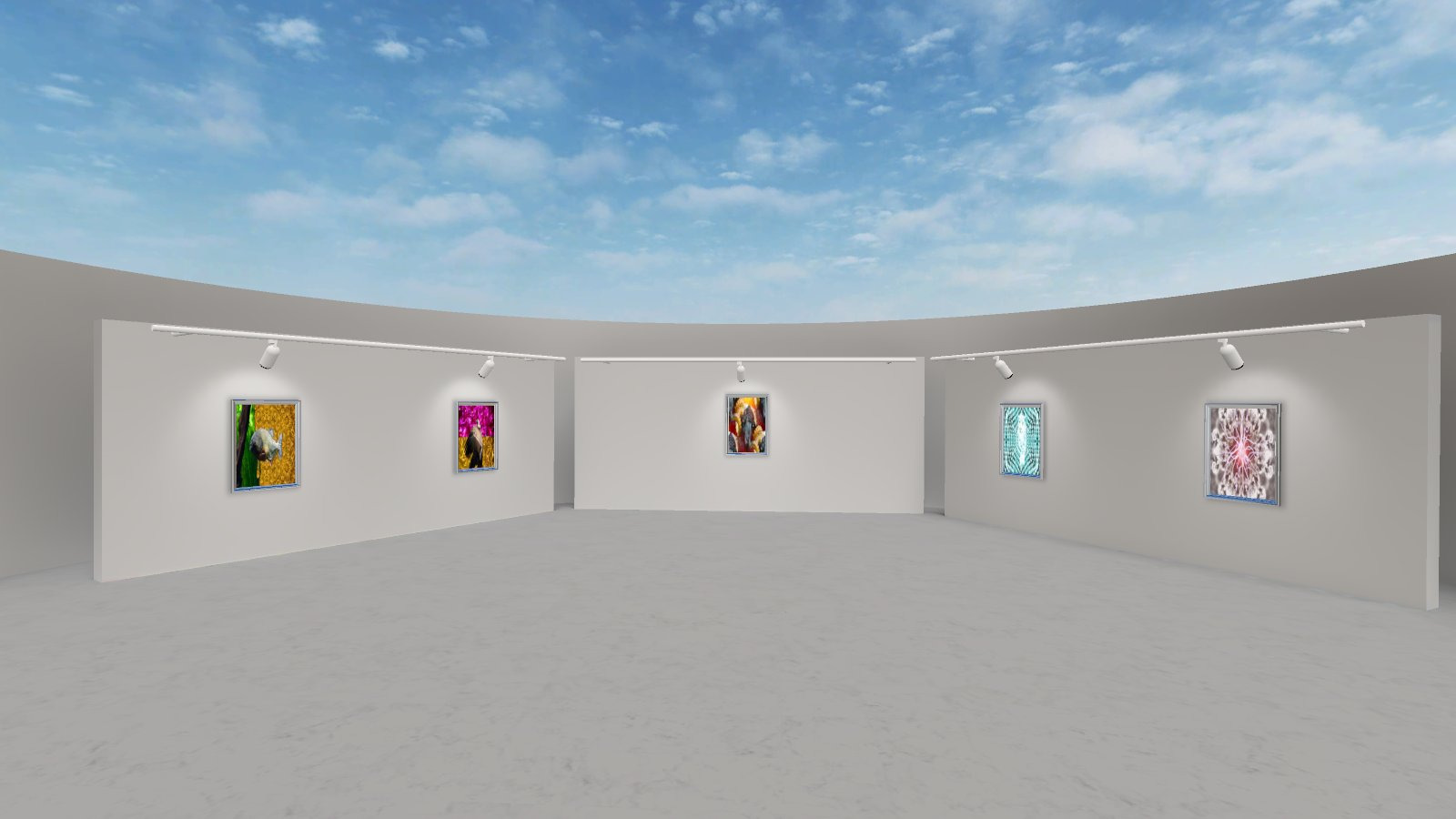 Raphaël Wolf Exhibition