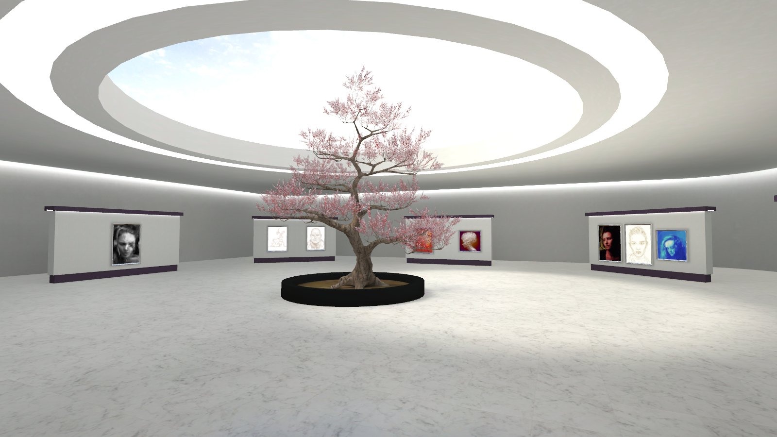 Amirmohammadi Gallery