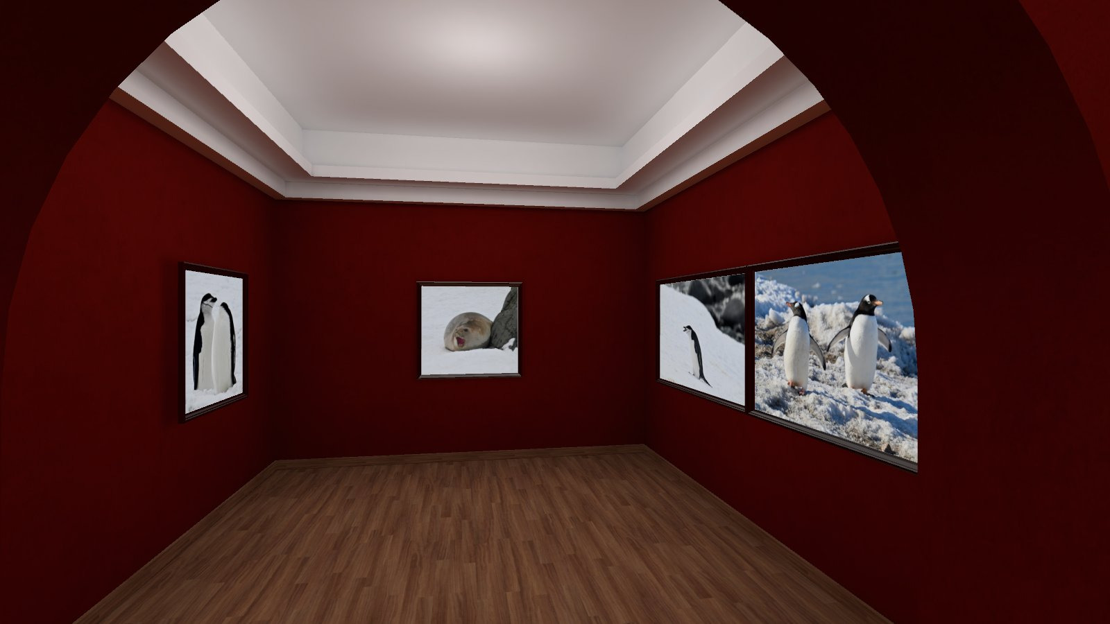 Nov 2024 Expedition to Antarctica Exhibition - CloppShots
