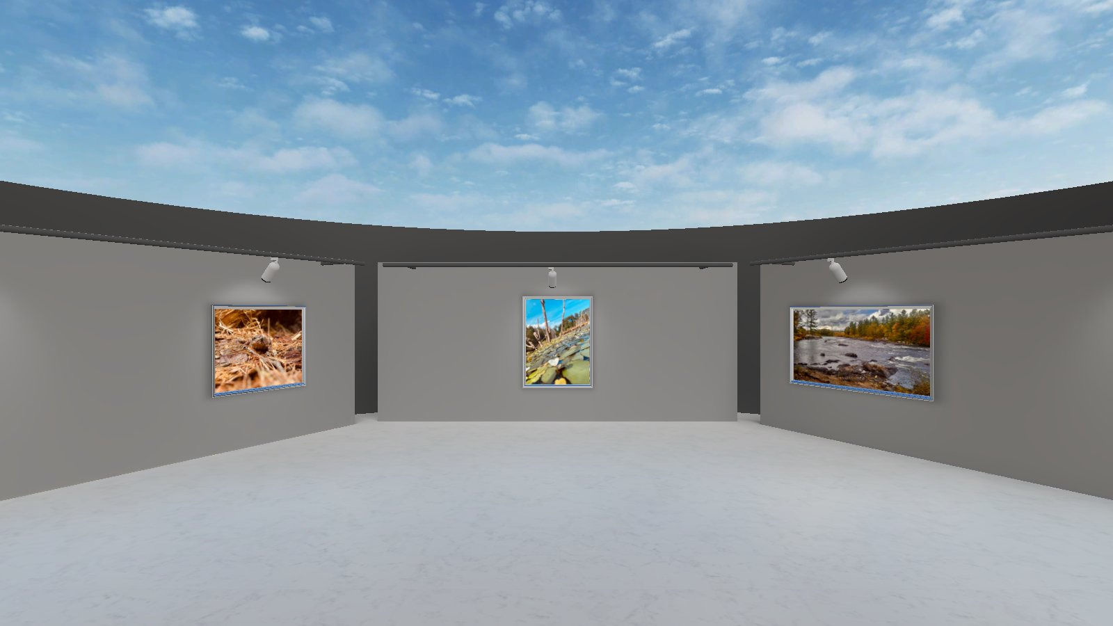 Desiree Templeton Exhibition